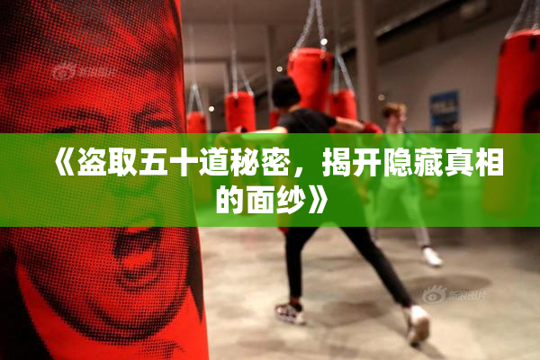 《盗取五十道秘密，揭开隐藏真相的面纱》