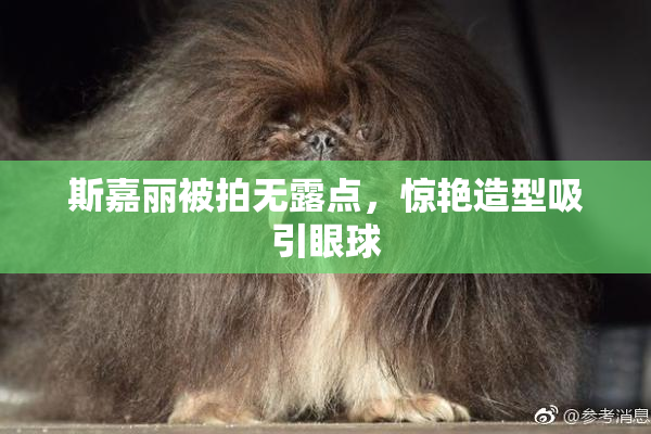 斯嘉丽被拍无露点，惊艳造型吸引眼球