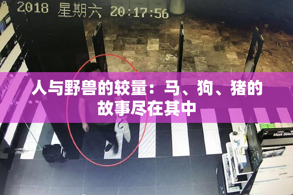 人与野兽的较量：马、狗、猪的故事尽在其中