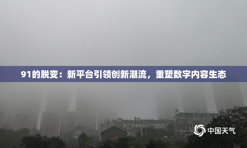91的脱变：新平台引领创新潮流，重塑数字内容生态
