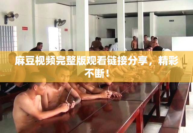 麻豆视频完整版观看链接分享，精彩不断！