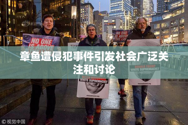 章鱼遭侵犯事件引发社会广泛关注和讨论