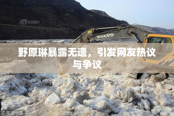 野原琳暴露无遗，引发网友热议与争议
