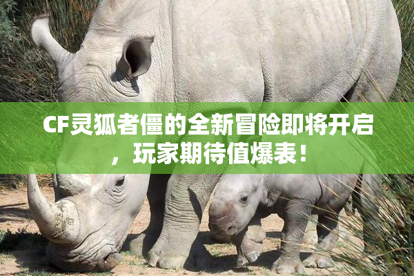 CF灵狐者僵的全新冒险即将开启，玩家期待值爆表！