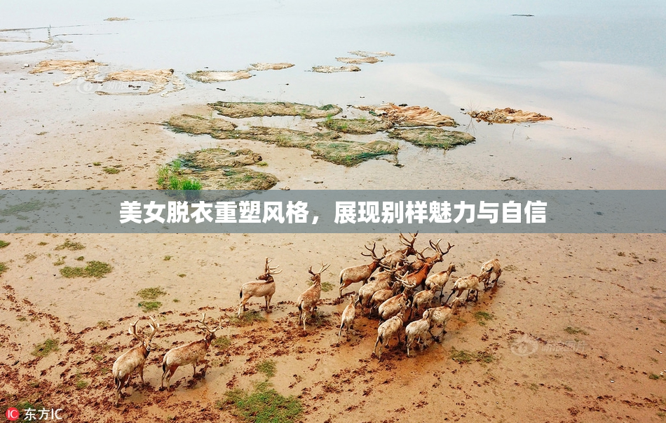 美女脱衣重塑风格，展现别样魅力与自信