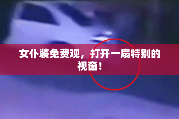 女仆装免费观，打开一扇特别的视窗！