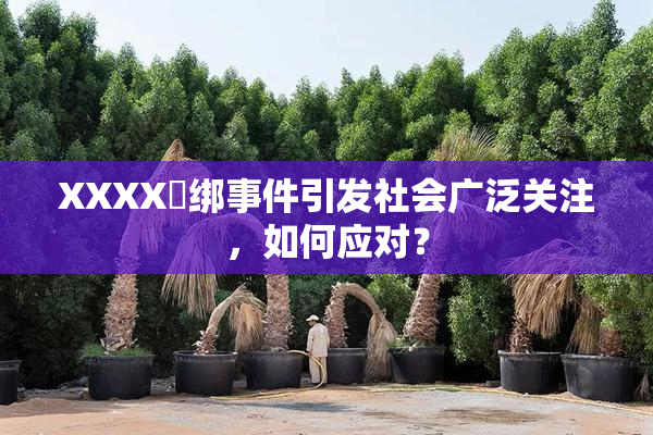 XXXX秵绑事件引发社会广泛关注，如何应对？