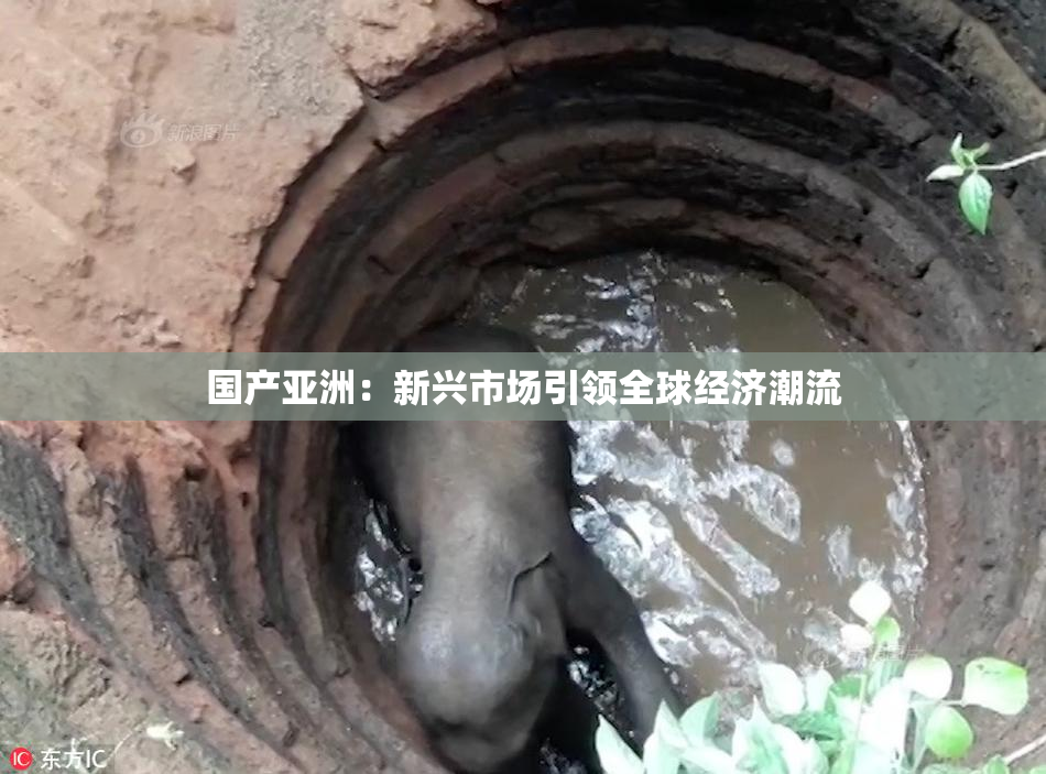 国产亚洲：新兴市场引领全球经济潮流