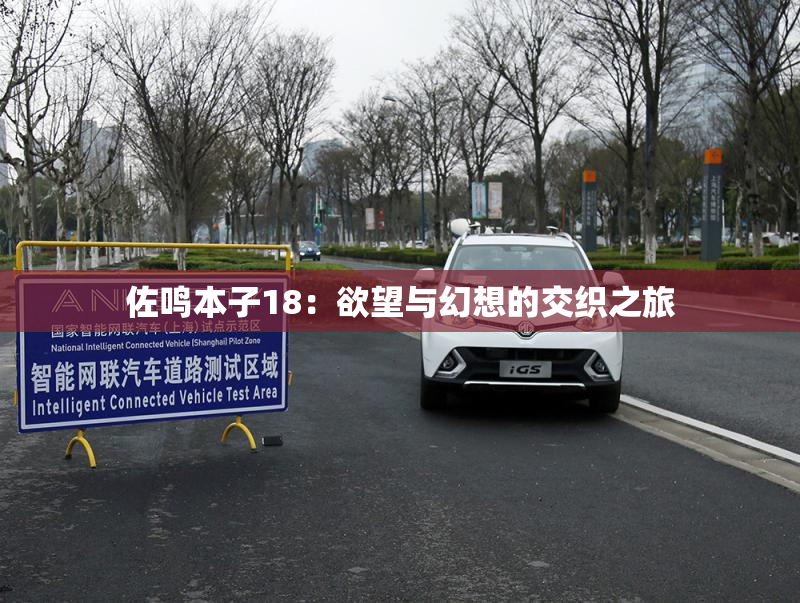 佐鸣本子18：欲望与幻想的交织之旅