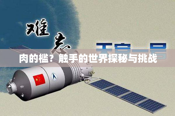 肉的槛？触手的世界探秘与挑战