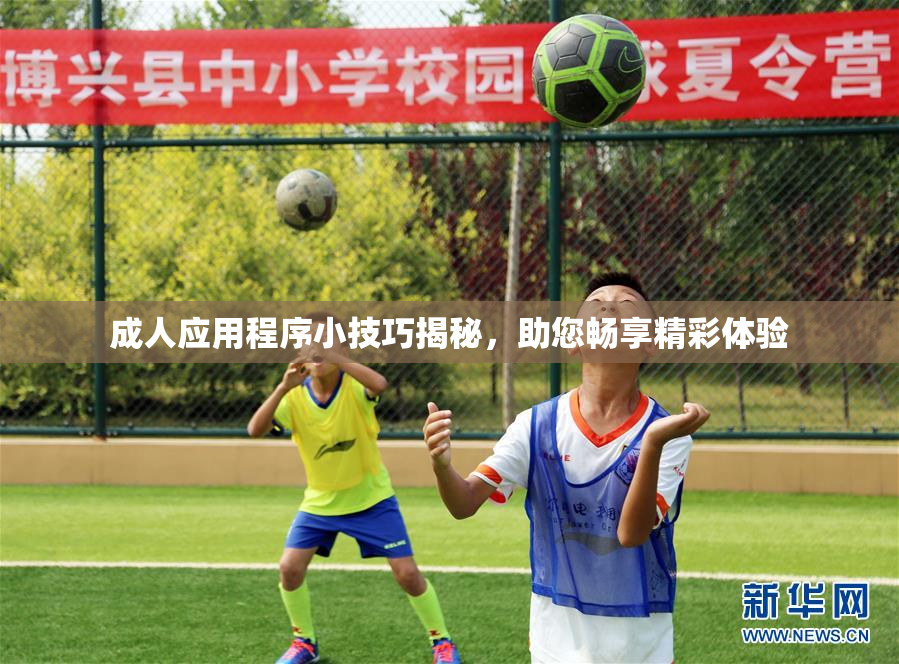 成人应用程序小技巧揭秘，助您畅享精彩体验