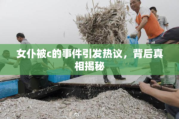 女仆被c的事件引发热议，背后真相揭秘