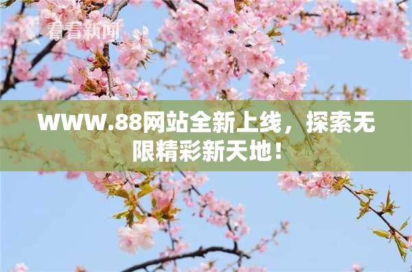 WWW.88网站全新上线，探索无限精彩新天地！