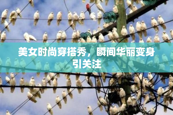 美女时尚穿搭秀，瞬间华丽变身引关注