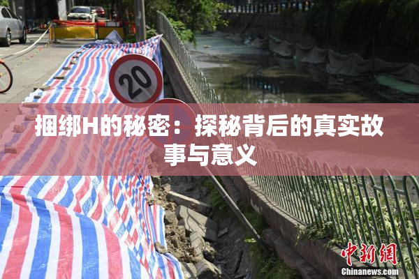 捆绑H的秘密：探秘背后的真实故事与意义