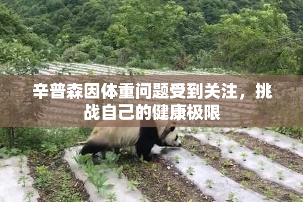 辛普森因体重问题受到关注，挑战自己的健康极限