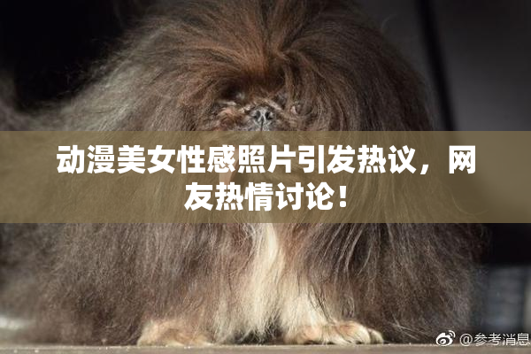 动漫美女性感照片引发热议，网友热情讨论！
