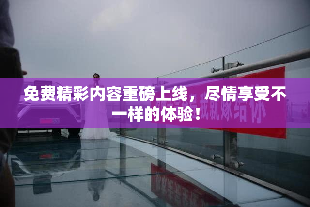 免费精彩内容重磅上线，尽情享受不一样的体验！