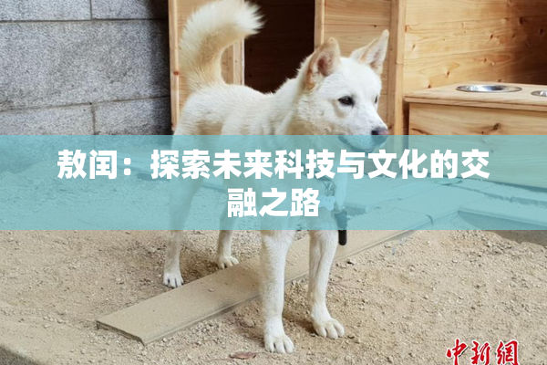 敖闰：探索未来科技与文化的交融之路
