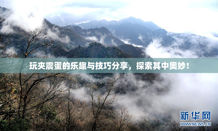 玩夹震蛋的乐趣与技巧分享，探索其中奥妙！