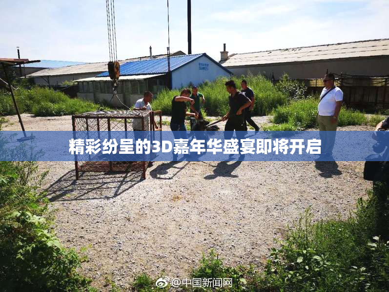 精彩纷呈的3D嘉年华盛宴即将开启