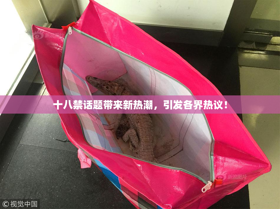 十八禁话题带来新热潮，引发各界热议！