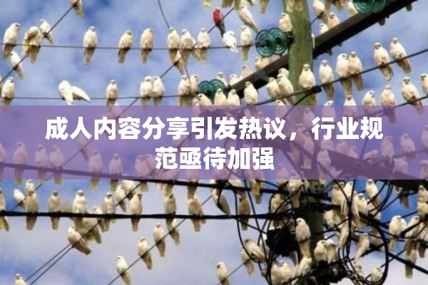 成人内容分享引发热议，行业规范亟待加强
