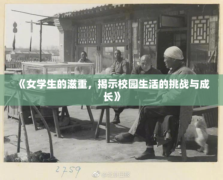 《女学生的滋重，揭示校园生活的挑战与成长》