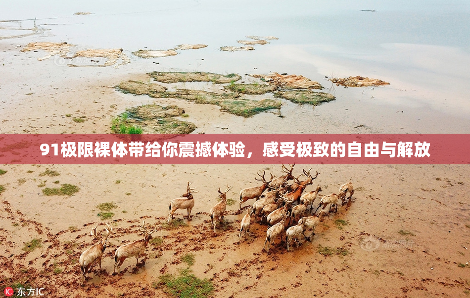 91极限裸体带给你震撼体验，感受极致的自由与解放