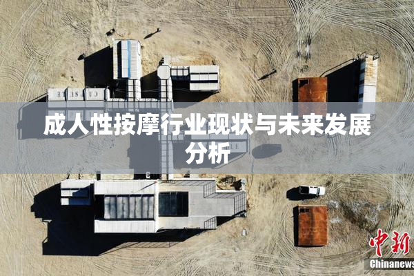 成人性按摩行业现状与未来发展分析