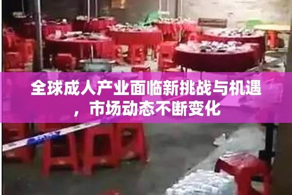 全球成人产业面临新挑战与机遇，市场动态不断变化