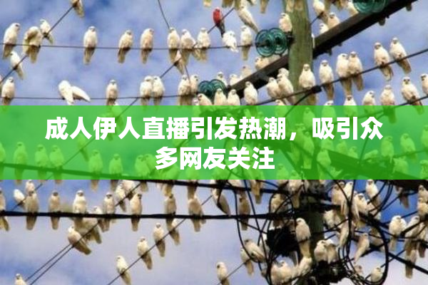 成人伊人直播引发热潮，吸引众多网友关注