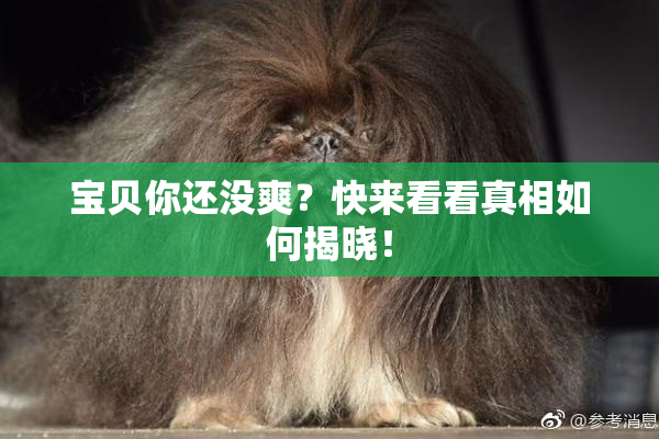 宝贝你还没爽？快来看看真相如何揭晓！