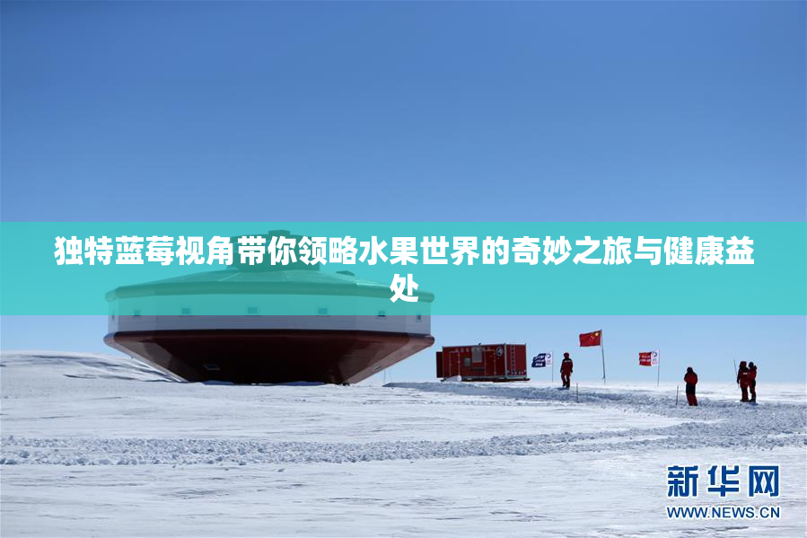 独特蓝莓视角带你领略水果世界的奇妙之旅与健康益处