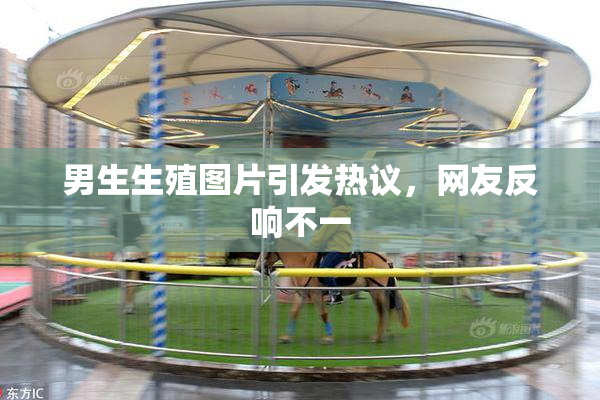 男生生殖图片引发热议，网友反响不一