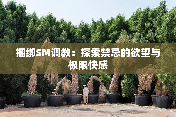捆绑SM调教：探索禁忌的欲望与极限快感