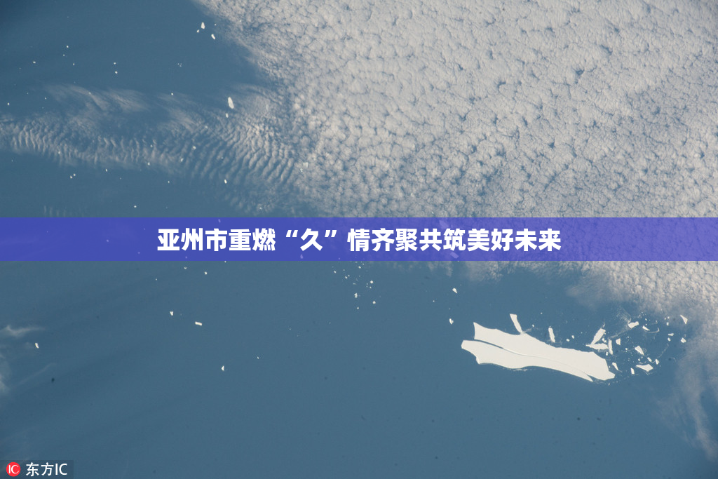 亚州市重燃“久”情齐聚共筑美好未来