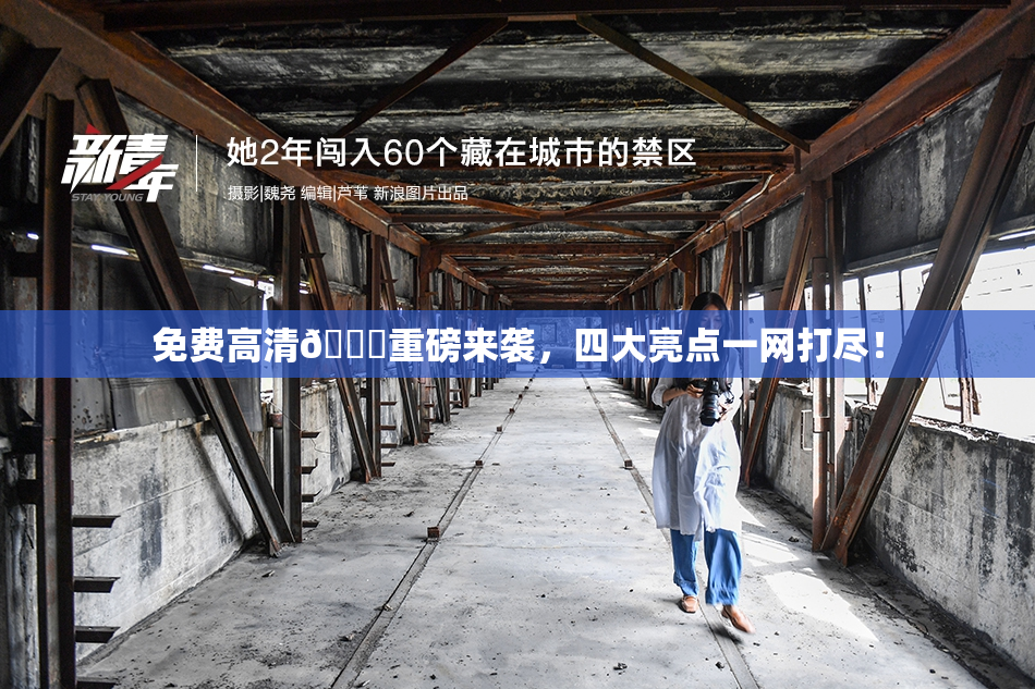 免费高清🔞重磅来袭，四大亮点一网打尽！