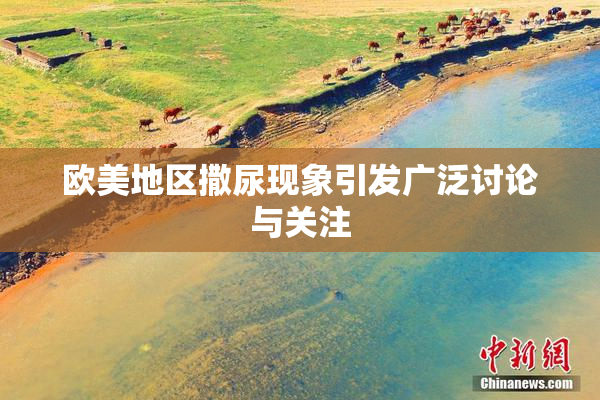 欧美地区撒尿现象引发广泛讨论与关注