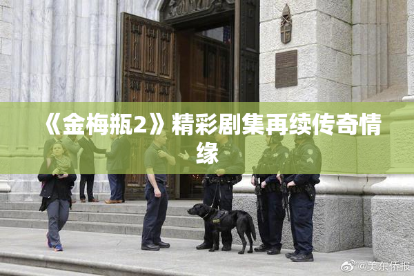 《金梅瓶2》精彩剧集再续传奇情缘