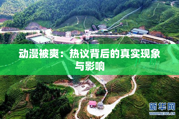动漫被爽：热议背后的真实现象与影响