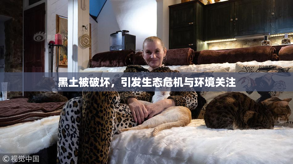 黑土被破坏，引发生态危机与环境关注