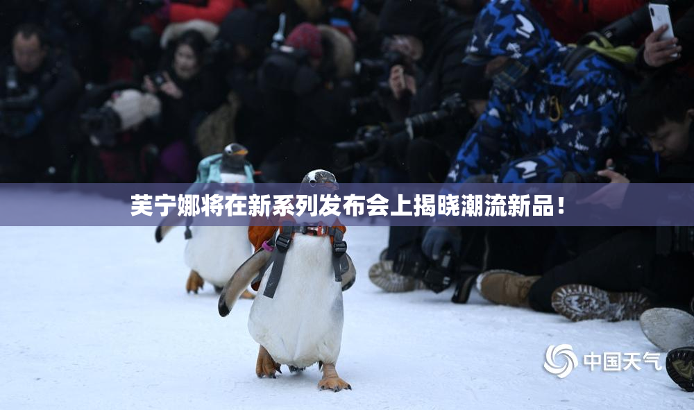 芙宁娜将在新系列发布会上揭晓潮流新品！