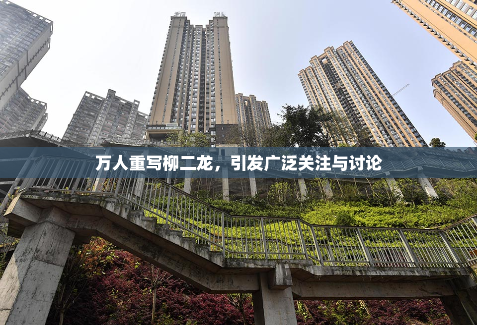 万人重写柳二龙，引发广泛关注与讨论