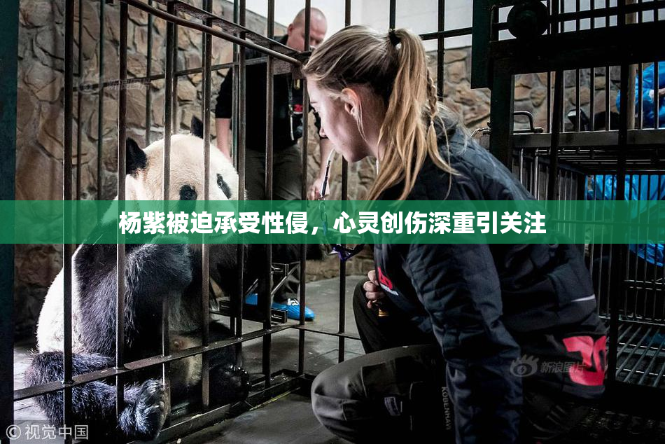 杨紫被迫承受性侵，心灵创伤深重引关注
