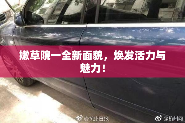嫩草院一全新面貌，焕发活力与魅力！