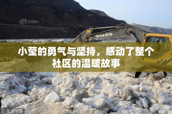 小莹的勇气与坚持，感动了整个社区的温暖故事