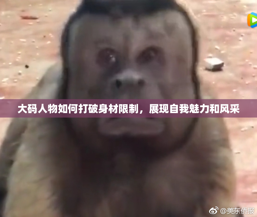 大码人物如何打破身材限制，展现自我魅力和风采