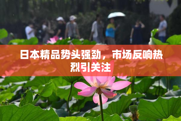 日本精品势头强劲，市场反响热烈引关注