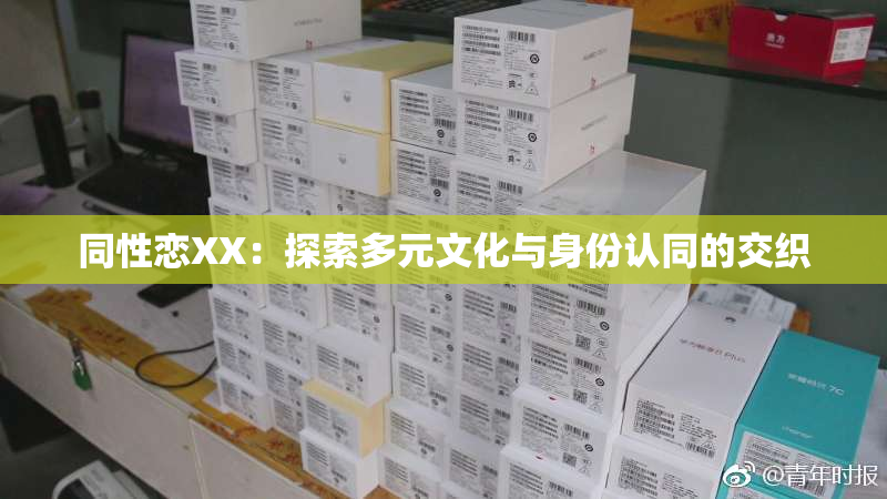 同性恋XX：探索多元文化与身份认同的交织